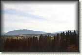 IMG_8090