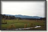 IMG_8100