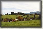 IMG_8103