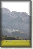 IMG_8119