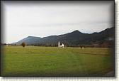 IMG_8134