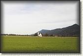 IMG_8138