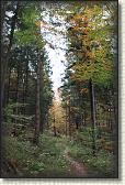 IMG_8165