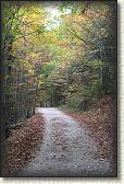 IMG_8167