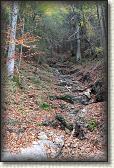 IMG_8170