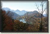 IMG_8174