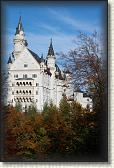 IMG_8296