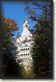 IMG_8302