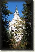 IMG_8307