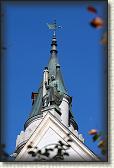 IMG_8309