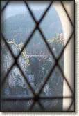 IMG_8350