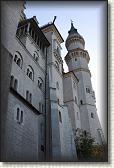 IMG_8443
