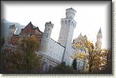 IMG_8539