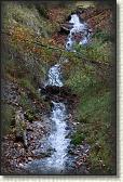 IMG_8542
