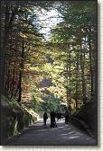 IMG_8547