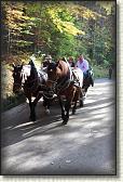 IMG_8549