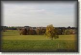 IMG_8552