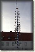 IMG_8554