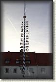 IMG_8555