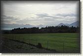 IMG_8582