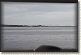 IMG_8593