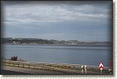 IMG_8594