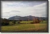IMG_8595