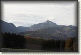 IMG_8600