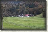 IMG_8644