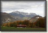 IMG_8659