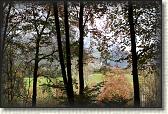 IMG_8678