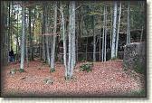 IMG_8686
