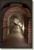 IMG_8707