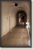 IMG_8718