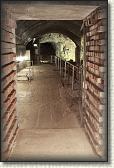 IMG_8725