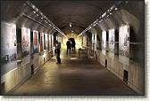 IMG_8746