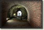 IMG_8770