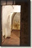 IMG_8778