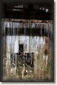 IMG_8781
