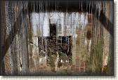 IMG_8786
