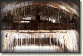 IMG_8788
