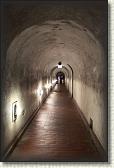 IMG_8790