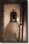 IMG_8808