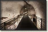 IMG_8809