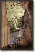 IMG_8817