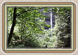 IMG_29341
