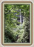 IMG_29351