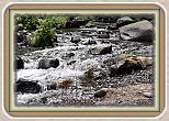 IMG_29461