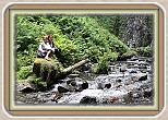 IMG_29541