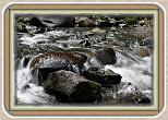 IMG_29641